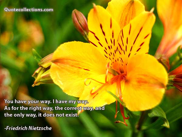 Friedrich Nietzsche Quotes5